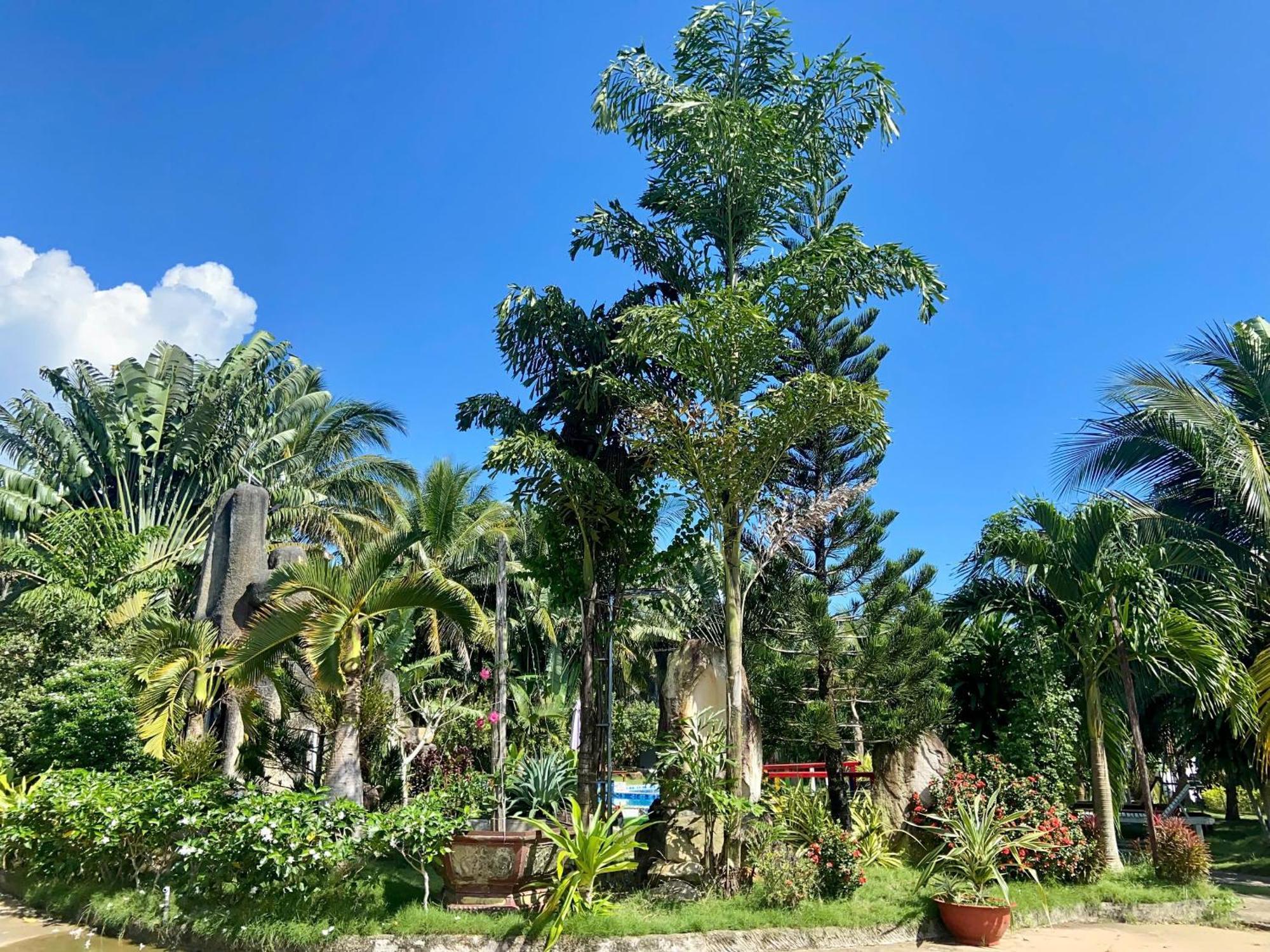 Y Nghia Bungalow Ong Lang Phu Quoc Exterior photo