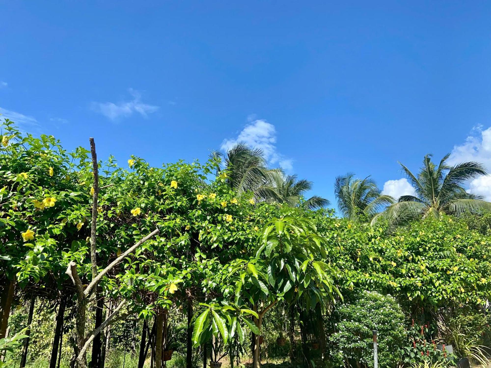 Y Nghia Bungalow Ong Lang Phu Quoc Exterior photo