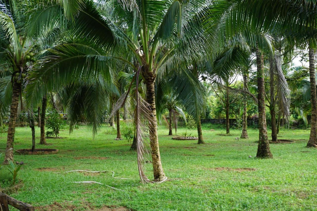 Y Nghia Bungalow Ong Lang Phu Quoc Exterior photo